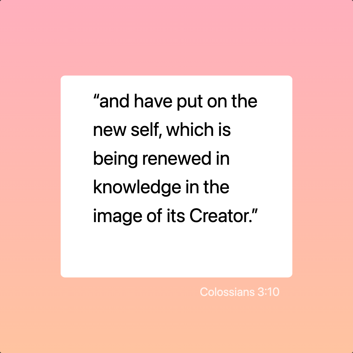 Colossians 3:10